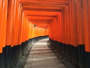 伏見イメージ